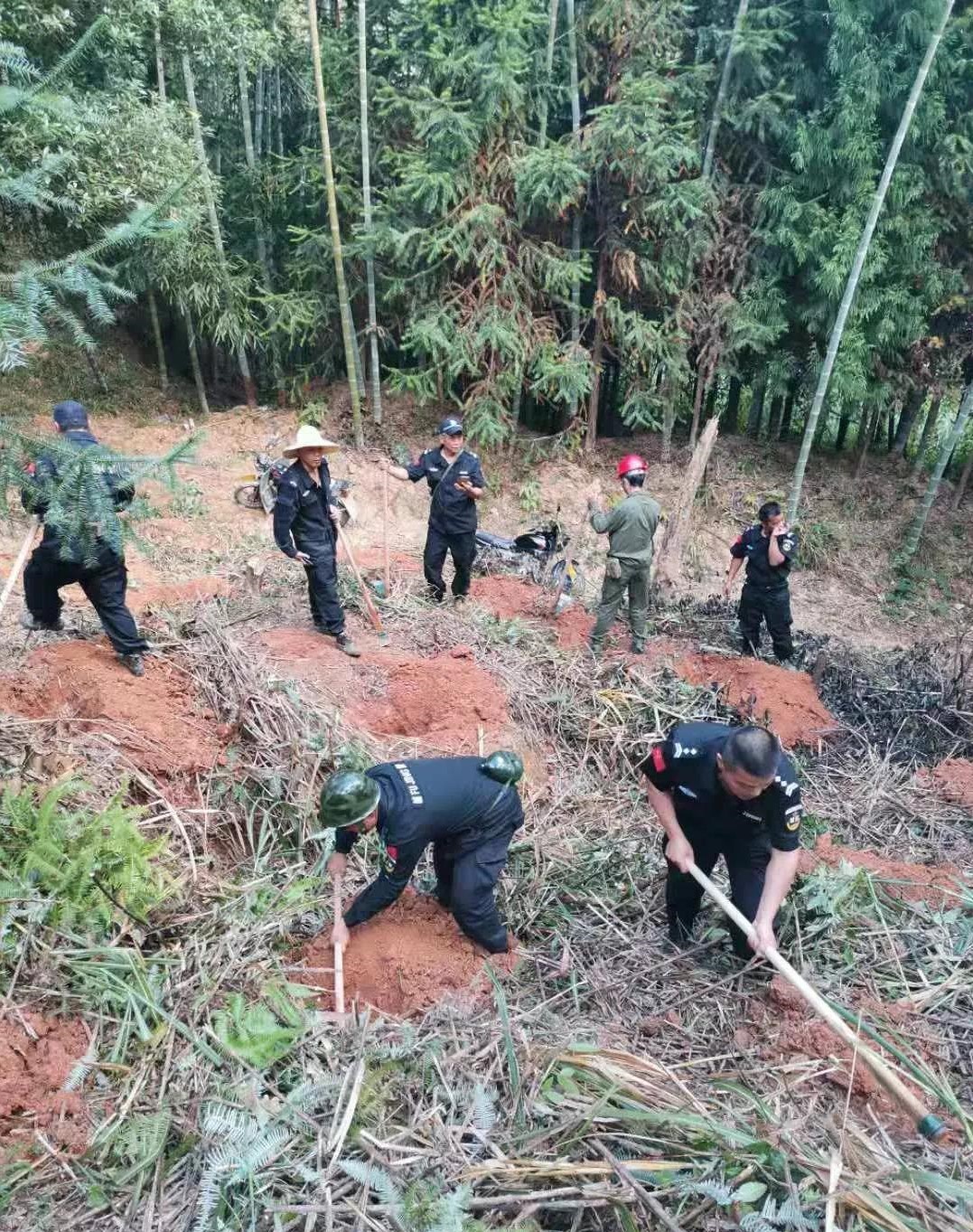 干好每一天|青山掛白我復綠，無私奉獻金森人——資源保護部義務突擊隊工作記實