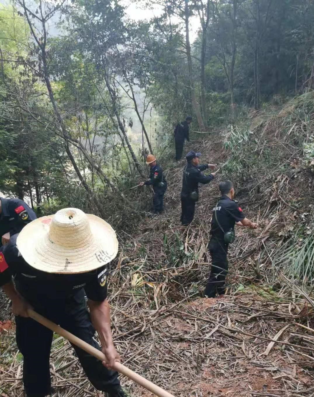 干好每一天|青山掛白我復綠，無私奉獻金森人——資源保護部義務突擊隊工作記實