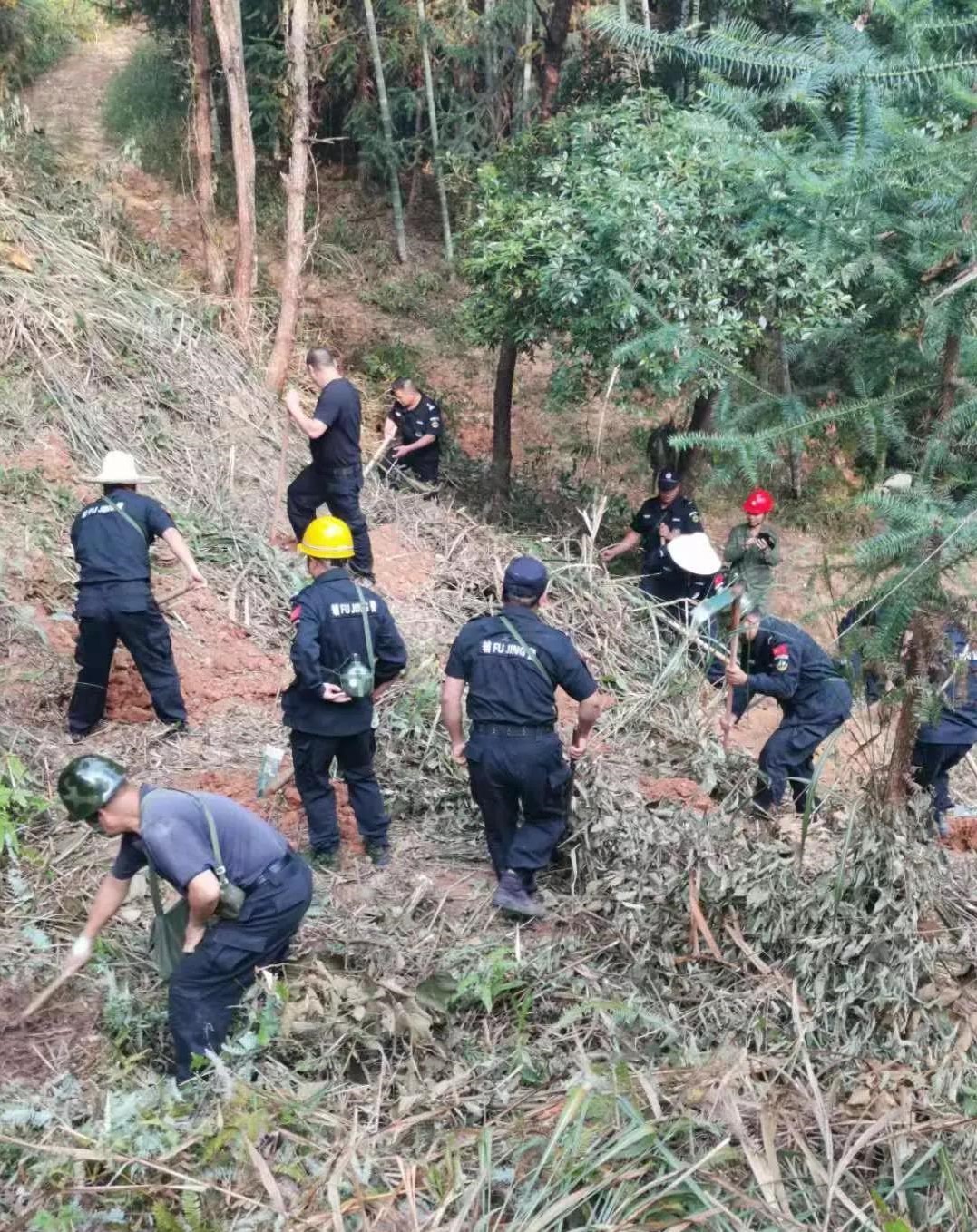 干好每一天|青山掛白我復綠，無私奉獻金森人——資源保護部義務突擊隊工作記實